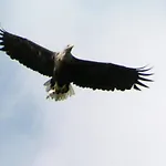 Feriehus Mobile Im Mit Seezugang