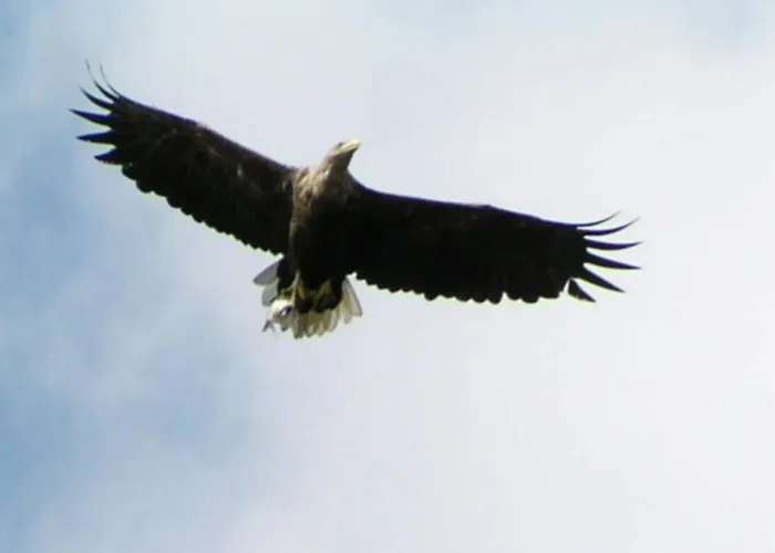 Holiday home Mobile Im Mit Seezugang