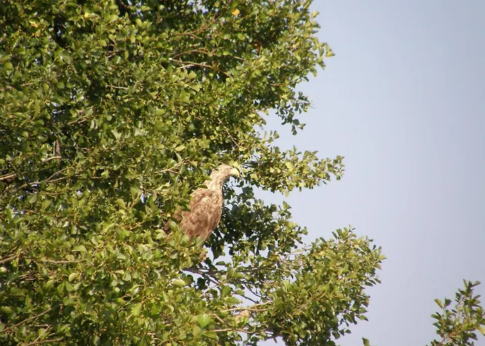 Mobile Im Mit Seezugang Dabel